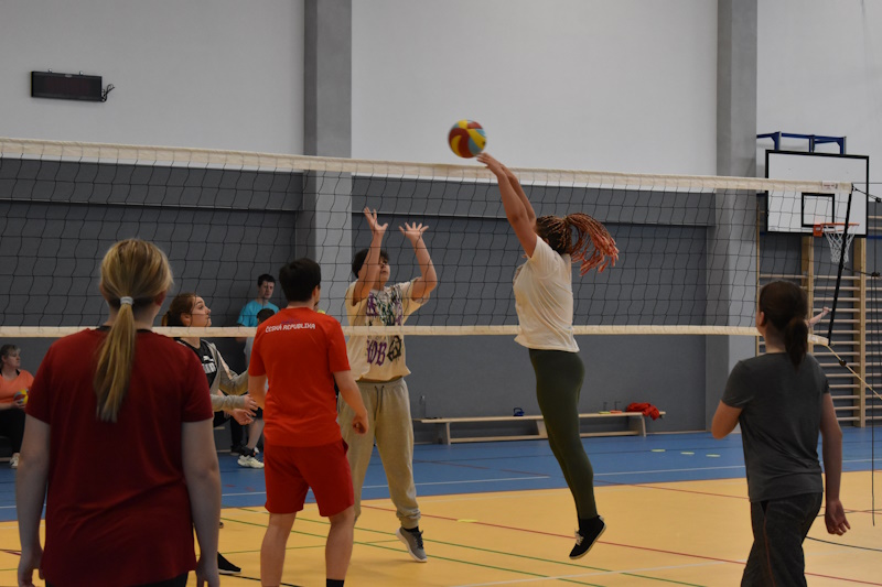 DSC 0837up