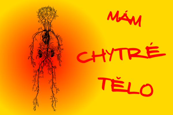 Dopoledne plné objevů a poznání