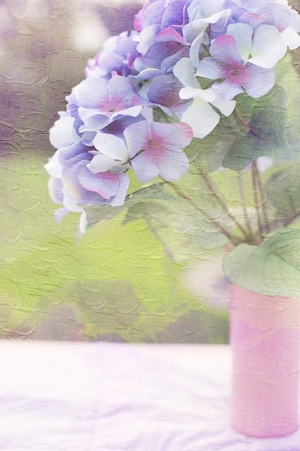 hydrangea g79a15f3a6 640