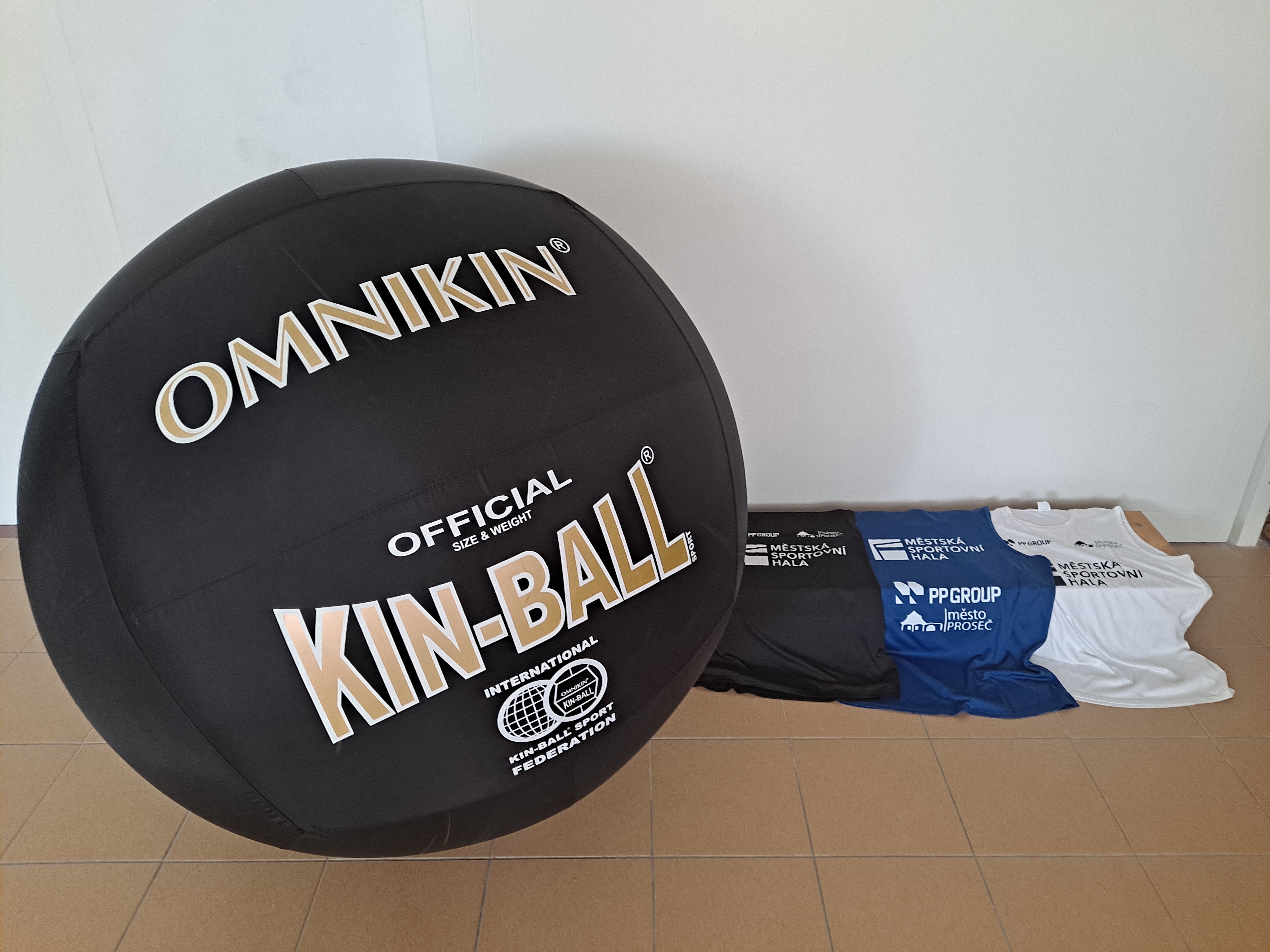 Kin ball 3